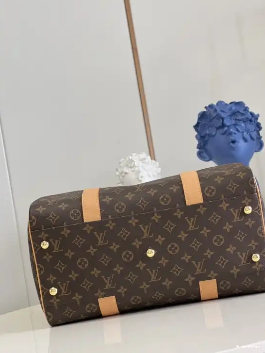 VUITTON CARRYALL LOUIS 0703